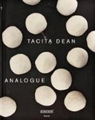 Schaulager Laurenz-Stiftung - Tacita Dean. Analogue