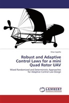 Elisa Capello - Robust and Adaptive Control Laws for a mini Quad Rotor UAV