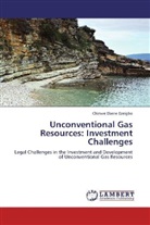Chinwe Ekene Ezeigbo - Unconventional Gas Resources: Investment Challenges