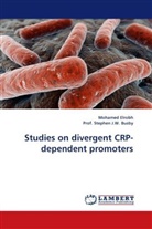 Stephen J. W. Busby, Mohame Elrobh, Mohamed Elrobh, Prof Stephen J W Busby, Stephen J. W. Busby, Prof. Stephen J. W. Busby - Studies on divergent CRP-dependent promoters