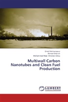 M Khosravi nikou, Mohammad Reza Khosravi Nikou, Omi Rahmanpour, Omid Rahmanpour, Ahma Shariati, Ahmad Shariati - Multiwall Carbon Nanotubes and Clean Fuel Production