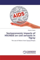 Misgina Zegeye - Socioeconomic impacts of HIV/AIDS on civil servants in Tigray