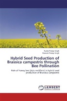 Ramesh Pratap Singh, Rudra Prata Singh, Rudra Pratap Singh - Hybrid Seed Production of Brassica campestris through Bee Pollination