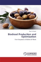 Baye Teshager - Biodiesel Production and Optimization