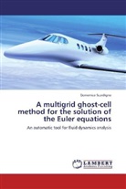 Domenico Scardigno - A multigrid ghost-cell method for the solution of the Euler equations