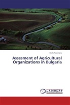 Stela Todorova - Assesment of Agricultural Organizations in Bulgaria
