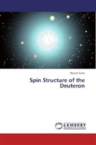 Nevzat Guler - Spin Structure of the Deuteron
