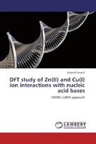 Raghab Parajuli - DFT study of Zn(II) and Cu(I) ion interactions with nucleic acid bases