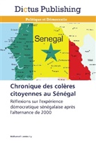 Mohamed L. Ly, Mohamed Lamine Ly, Ly-m - Chronique des coleres citoyennes