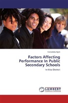 Consolata Ngiti - Factors Affecting Performance In Public Secondary Schools