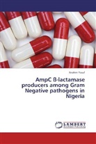 Ibrahim Yusuf - AmpC ß-lactamase producers among Gram Negative pathogens in Nigeria