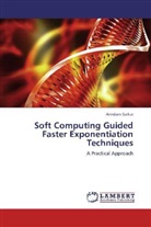 Arindam Sarkar - Soft Computing Guided Faster Exponentiation Techniques