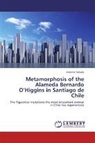 Antonio Sahady - Metamorphosis of the Alameda Bernardo O Higgins in Santiago de Chile