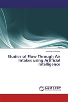 Amarnath Mullick - Studies of Flow Through Air Intakes using Artificial Intelligence