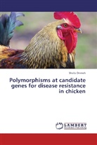 Sheila Ommeh - Polymorphisms at candidate genes for disease resistance in chicken