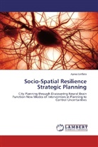 Aynaz Lotfata - Socio-Spatial Resilience Strategic Planning