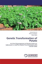 Monzu Hossain, Monzur Hossain, Rafiul Islam, Umm Qulsum, Umme Qulsum - Genetic Transformation of Potato
