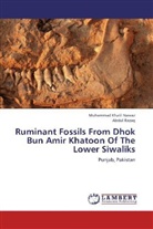 Muhammad Khali Nawaz, Muhammad Khalil Nawaz, Abdul Razaq - Ruminant Fossils From Dhok Bun Amir Khatoon Of The Lower Siwaliks