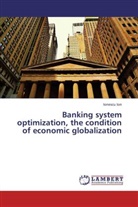 Ionescu Ion - Banking system optimization, the condition of economic globalization