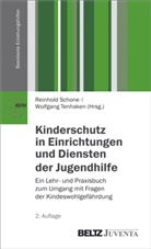 Reinhol Schone, Reinhold Schone, Tenhaken, Tenhaken, Wolfgang Tenhaken - Kinderschutz in Einrichtungen und Diensten der Jugendhilfe