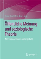 Peter-Ulric Merz-Benz, Peter-Ulrich Merz-Benz - Öffentliche Meinung und soziologische Theorie