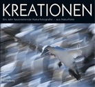 Hubert Tecklenborg - Kreationen