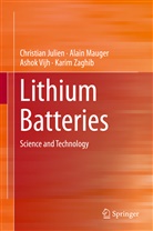 Christia Julien, Christian Julien, Alai Mauger, Alain Mauger, Ashok Vijh, Ashok et al Vijh... - Lithium Batteries