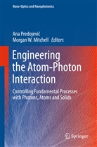 Morgan Mitchell, Morgan W. Mitchell, Ana Predojevi¿, An Predojevic, Ana Predojevic, Ana Predojević... - Engineering the Atom-Photon Interaction