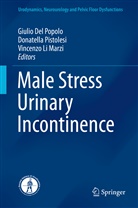 Giulio Del Popolo, Vincenzo Li Marzi, Vincenzo Li Marzi, Donatell Pistolesi, Donatella Pistolesi, Giulio del Popolo - Male Stress Urinary Incontinence