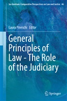 Laur Pineschi, Laura Pineschi - General Principles of Law - The Role of the Judiciary