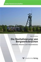 Björn Kutschera - Die Revitalisierung von Bergwerksbrachen