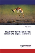 Gopal Kulakarni, Charm Patel, Charmi Patel, S Murthy Sharma, N S Murthy Sharma, N. S. Murthy Sharma - Picture compression issues relating to digital television