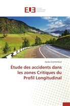 Ayuba Gnonlonfoun, Gnonlonfoun-a - Etude des accidents dans les