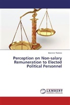 Beatrice Thobias - Perception on Non-salary Remuneration to Elected Political Personnel