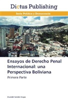 Elizabeth Santalla Vargas - Ensayos de Derecho Penal Internacional: una Perspectiva Boliviana