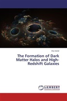 Shy Genel - The Formation of Dark Matter Halos and High-Redshift Galaxies