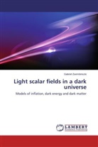 Gabriel Zsembinszki - Light scalar fields in a dark universe