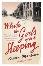 Erwin Mortier, Erwin (Author) Mortier, Paul Vincent - While the Gods Were Sleeping