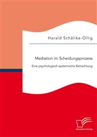 Harald Schälike-Ollig - Mediation im Scheidungsprozess: Eine psychologisch-systemische Betrachtung