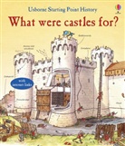 Phil Cox, Phil Roxbee Cox, Phil Roxbee Cox, Sue Stitt - What Were Castles For?