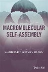Billon, L Billon, Lauren Billon, Laurent Billon, Laurent Borisov Billon, Oleg Borisov... - Macromolecular Self-Assembly
