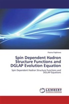 Rasna Rajkhowa - Spin Dependent Hadron Structure Functions and DGLAP Evolution Equation