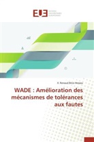 X Renaud Brice Hessou, X. Renaud Brice Hessou, Hessou-x - Wade: amelioration des mecanismes