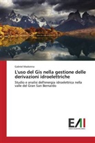 Gabriel Madonna - L'uso del Gis nella gestione delle derivazioni idroelettriche