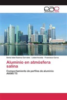 Lisbet Acosta, Corvo, Francisco Corvo, Xenia Isbel Suárez Corrales - Aluminio en atmósfera salina