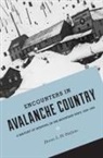 Diana L Di Stefano, Diana L. Di Stefano - Encounters in Avalanche Country