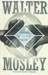 Walter Mosley - Inside a Silver Box