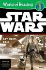 DISNEY BOOK GROUP, Lucasfilm Press, Lucasfilm Press (COR), Elizabeth Schaefer, Brian Rood - Star Wars the Force Awakens