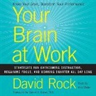 David Rock, Bob Walter - Your Brain at Work: Strategies for Overcoming Distraction, Regaining Focus, and Working Smarter All Day Long (Hörbuch)