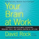 David Rock, Bob Walter - Your Brain at Work: Strategies for Overcoming Distraction, Regaining Focus, and Working Smarter All Day Long (Audiolibro)